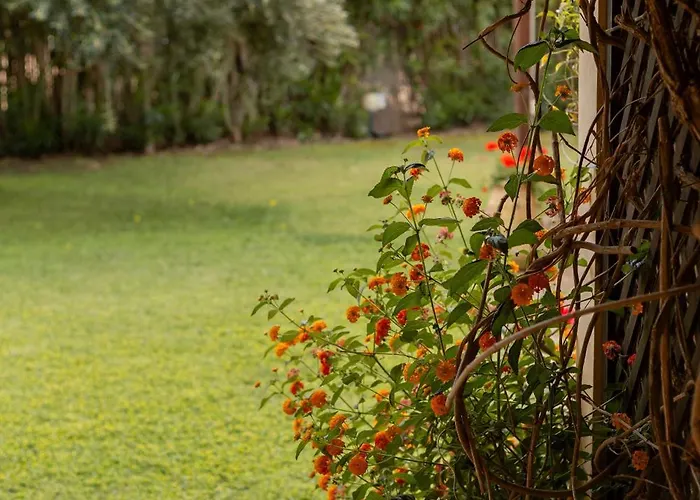 Aparthotel Porto Giunco Villasimius