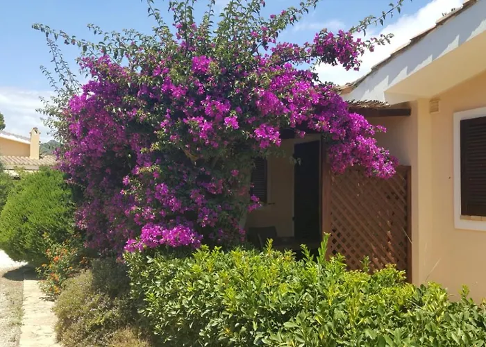 Apartahotel Porto Giunco